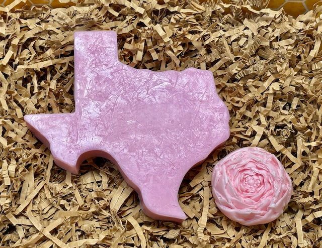 βπ The Lone Star Lather- Texas State Bar