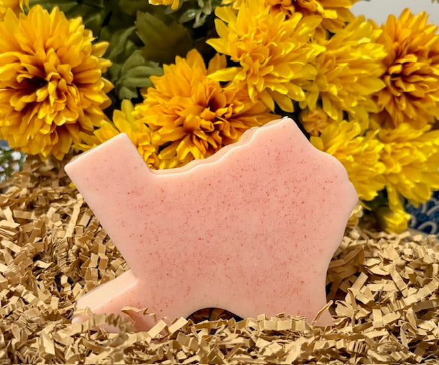 βπ The Lone Star Lather- Texas State Bar
